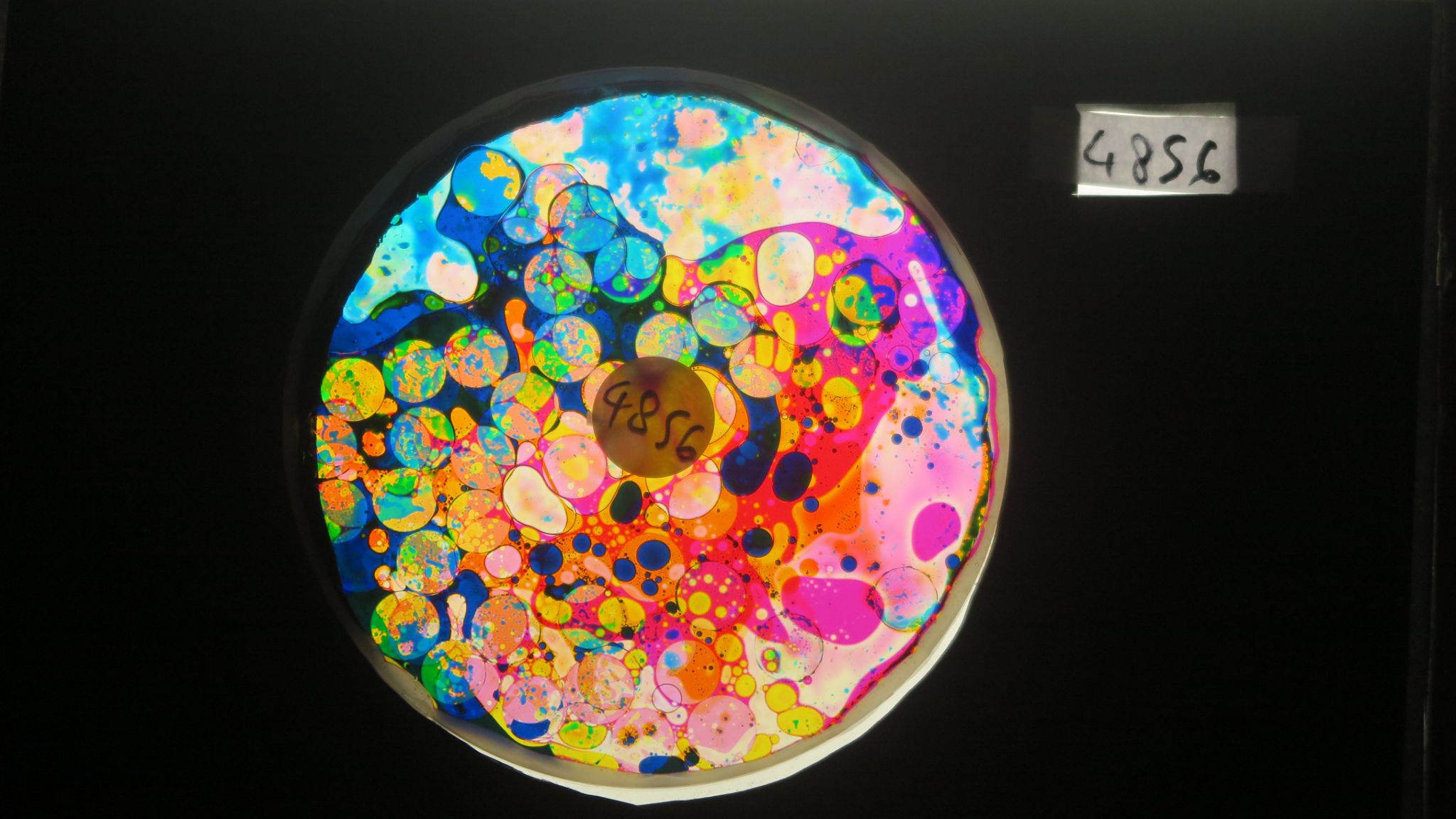 BV4856 bubble vision oil wheel